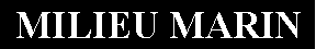 Zone de Texte: MILIEU MARIN
