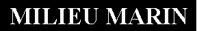 Zone de Texte: MILIEU MARIN