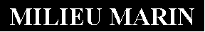 Zone de Texte: MILIEU MARIN