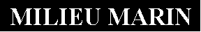 Zone de Texte: MILIEU MARIN