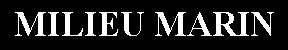 Zone de Texte: MILIEU MARIN